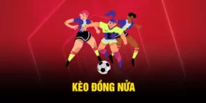 Kèo Đồng Nửa - Giải Thích Cách Chơi Dễ Hiểu Nhất 2026