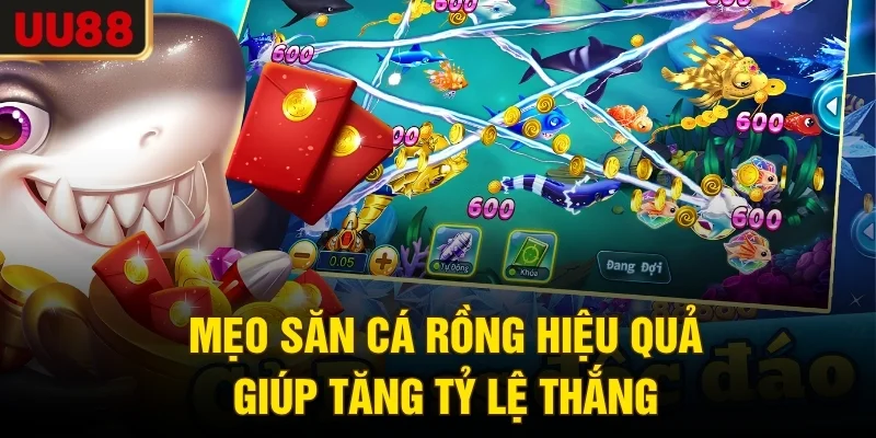 Mẹo săn cá rồng hiệu quả giúp tăng tỷ lệ thắng