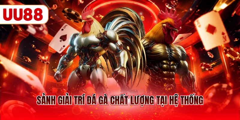 Sảnh giải trí đá gà chất lượng tại hệ thống